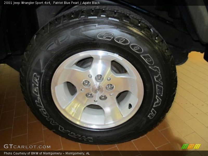 Patriot Blue Pearl / Agate Black 2001 Jeep Wrangler Sport 4x4