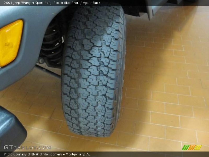 Patriot Blue Pearl / Agate Black 2001 Jeep Wrangler Sport 4x4