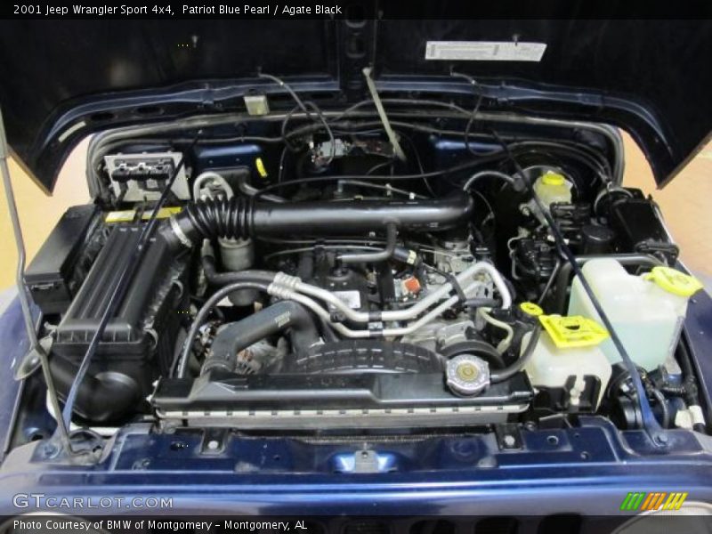 Patriot Blue Pearl / Agate Black 2001 Jeep Wrangler Sport 4x4