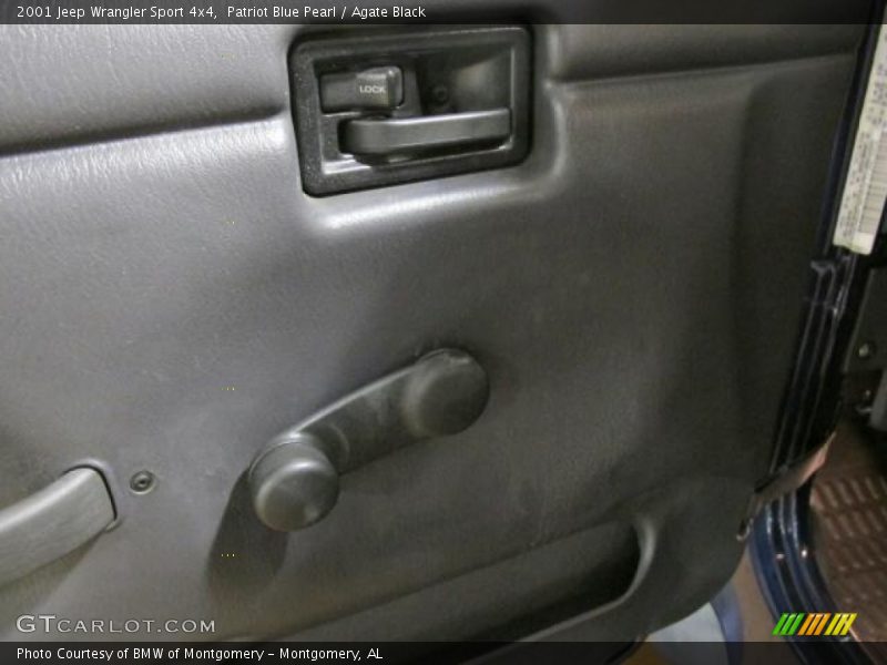 Patriot Blue Pearl / Agate Black 2001 Jeep Wrangler Sport 4x4