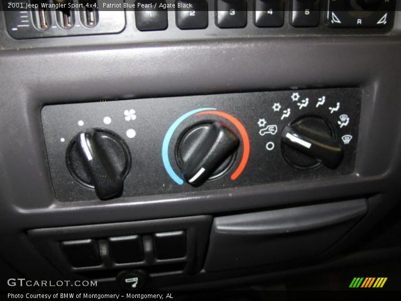Patriot Blue Pearl / Agate Black 2001 Jeep Wrangler Sport 4x4