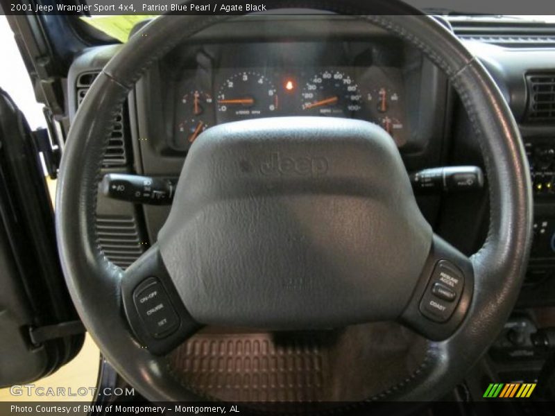 Patriot Blue Pearl / Agate Black 2001 Jeep Wrangler Sport 4x4