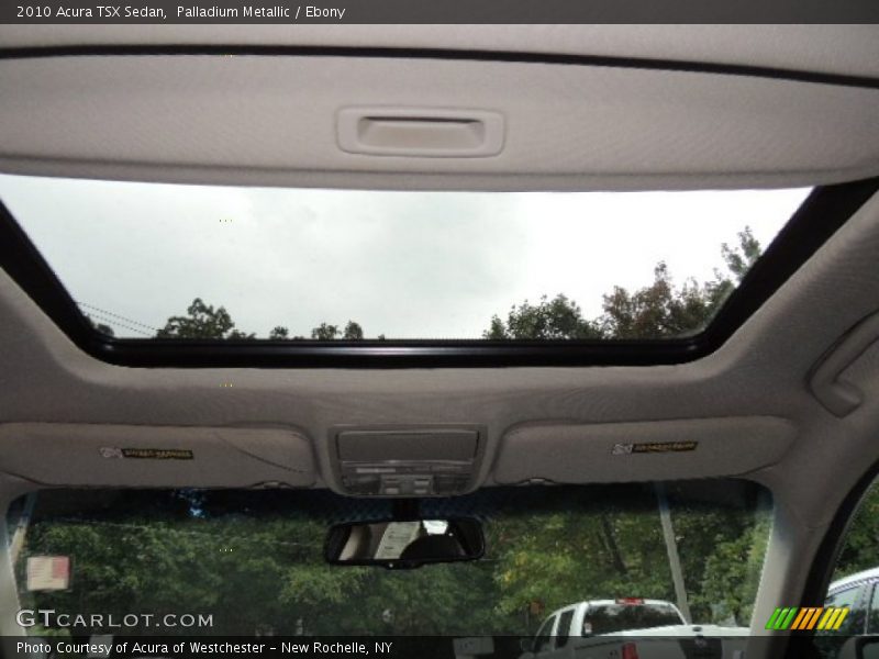Palladium Metallic / Ebony 2010 Acura TSX Sedan