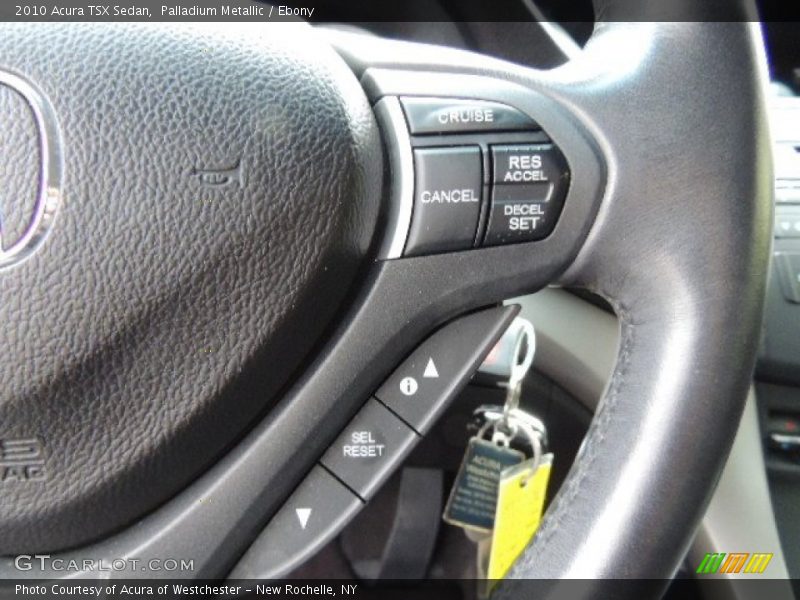 Palladium Metallic / Ebony 2010 Acura TSX Sedan