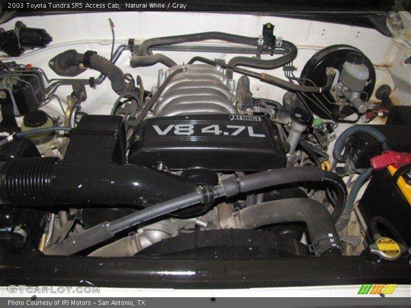 Natural White / Gray 2003 Toyota Tundra SR5 Access Cab