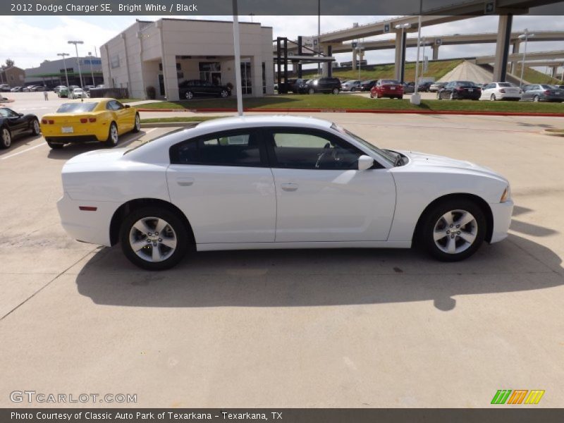 Bright White / Black 2012 Dodge Charger SE