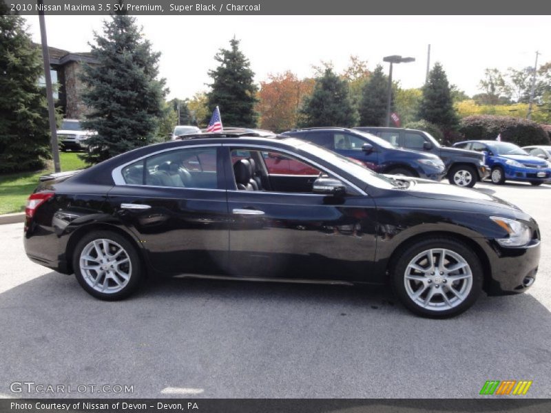 Super Black / Charcoal 2010 Nissan Maxima 3.5 SV Premium