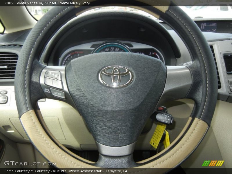 Sunset Bronze Mica / Ivory 2009 Toyota Venza I4