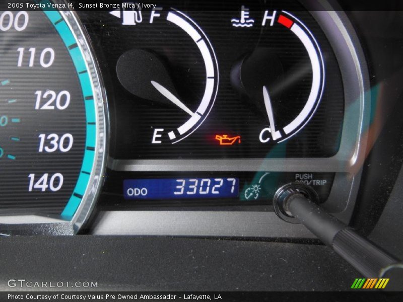 Sunset Bronze Mica / Ivory 2009 Toyota Venza I4