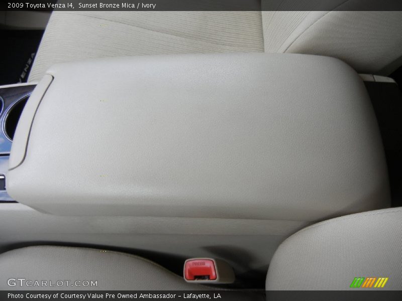 Sunset Bronze Mica / Ivory 2009 Toyota Venza I4