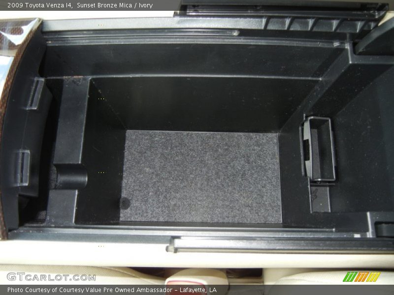 Sunset Bronze Mica / Ivory 2009 Toyota Venza I4
