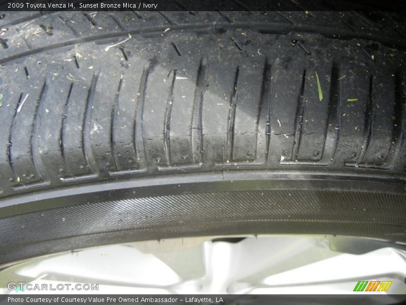 Sunset Bronze Mica / Ivory 2009 Toyota Venza I4
