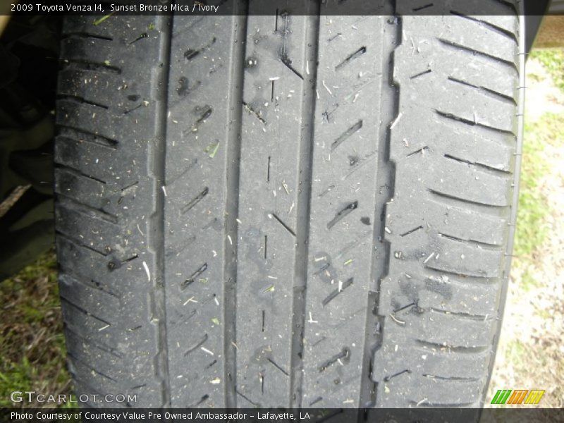 Sunset Bronze Mica / Ivory 2009 Toyota Venza I4