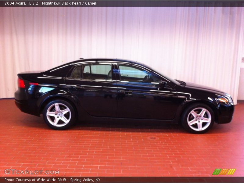 Nighthawk Black Pearl / Camel 2004 Acura TL 3.2