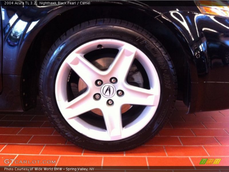 Nighthawk Black Pearl / Camel 2004 Acura TL 3.2