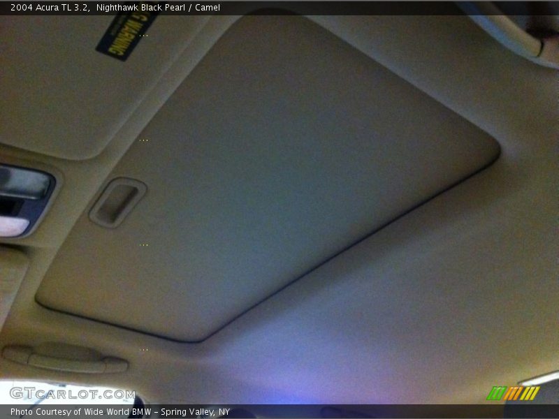 Nighthawk Black Pearl / Camel 2004 Acura TL 3.2