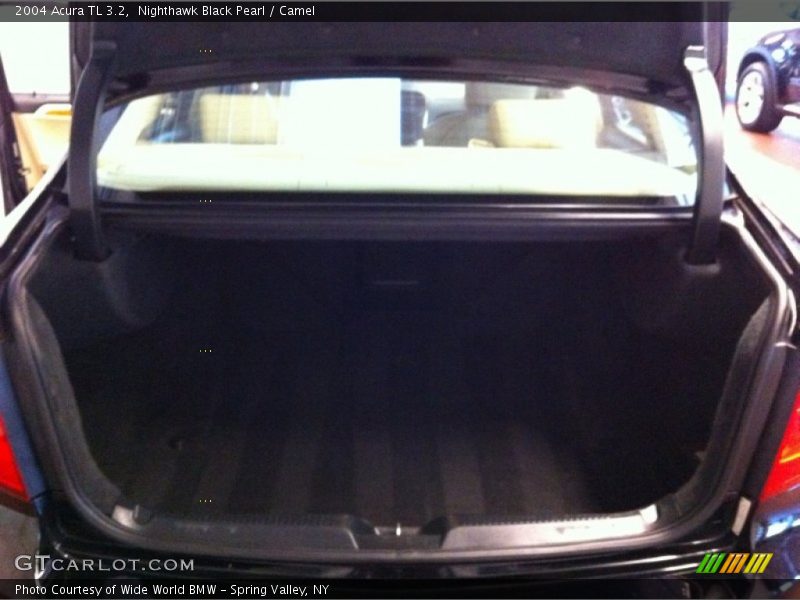 Nighthawk Black Pearl / Camel 2004 Acura TL 3.2