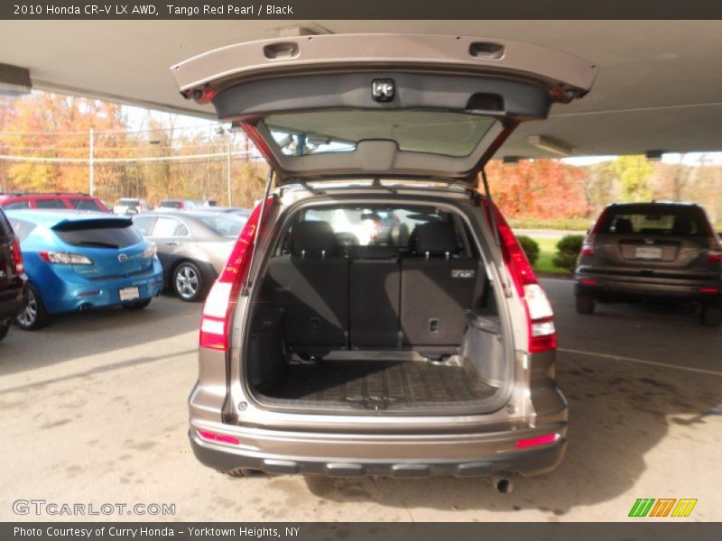 Tango Red Pearl / Black 2010 Honda CR-V LX AWD