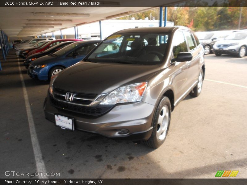 Tango Red Pearl / Black 2010 Honda CR-V LX AWD