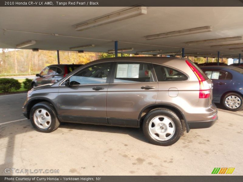 Tango Red Pearl / Black 2010 Honda CR-V LX AWD