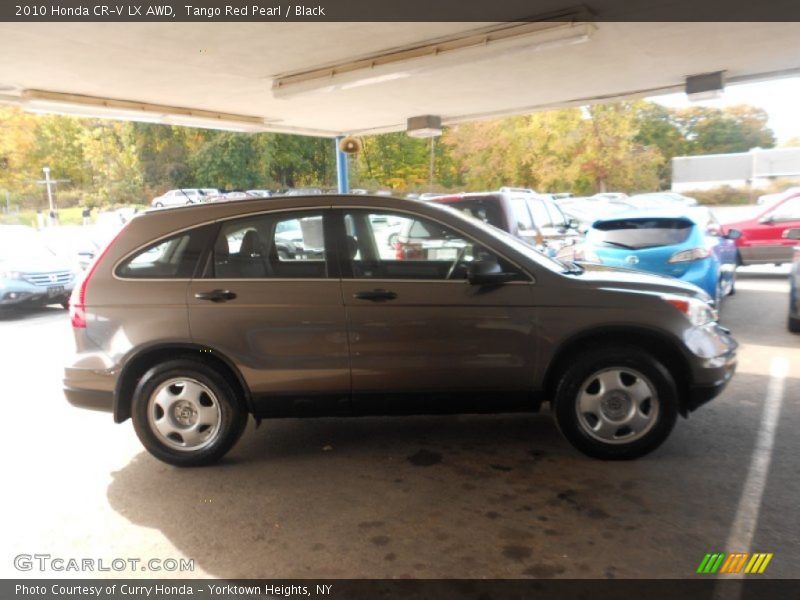 Tango Red Pearl / Black 2010 Honda CR-V LX AWD
