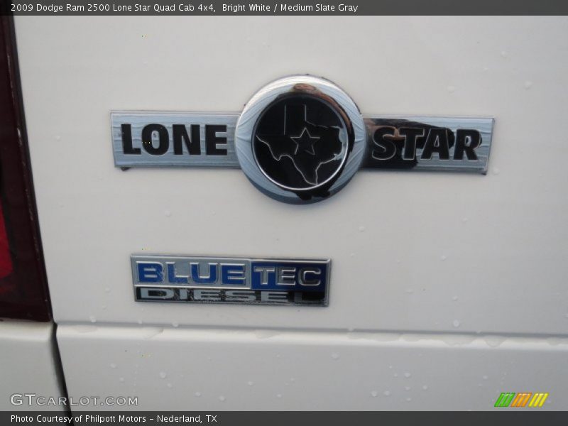 Bright White / Medium Slate Gray 2009 Dodge Ram 2500 Lone Star Quad Cab 4x4