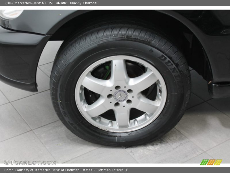 Black / Charcoal 2004 Mercedes-Benz ML 350 4Matic