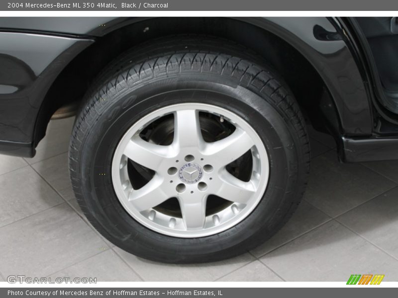 Black / Charcoal 2004 Mercedes-Benz ML 350 4Matic