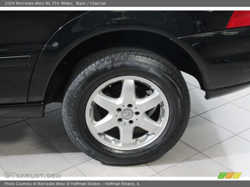 Black / Charcoal 2004 Mercedes-Benz ML 350 4Matic