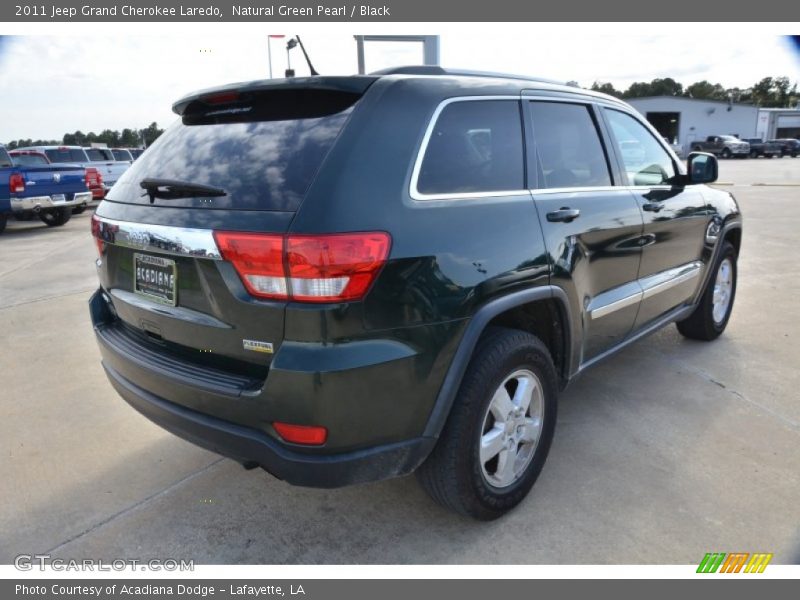 Natural Green Pearl / Black 2011 Jeep Grand Cherokee Laredo
