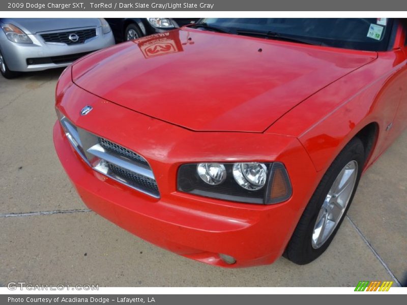 TorRed / Dark Slate Gray/Light Slate Gray 2009 Dodge Charger SXT