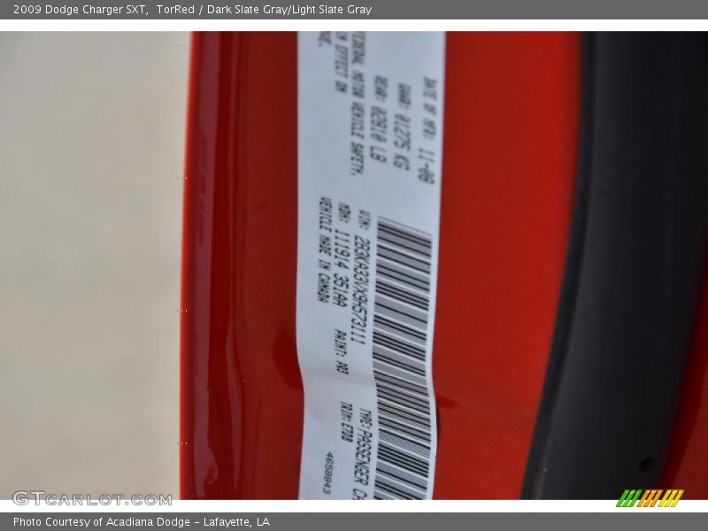 TorRed / Dark Slate Gray/Light Slate Gray 2009 Dodge Charger SXT