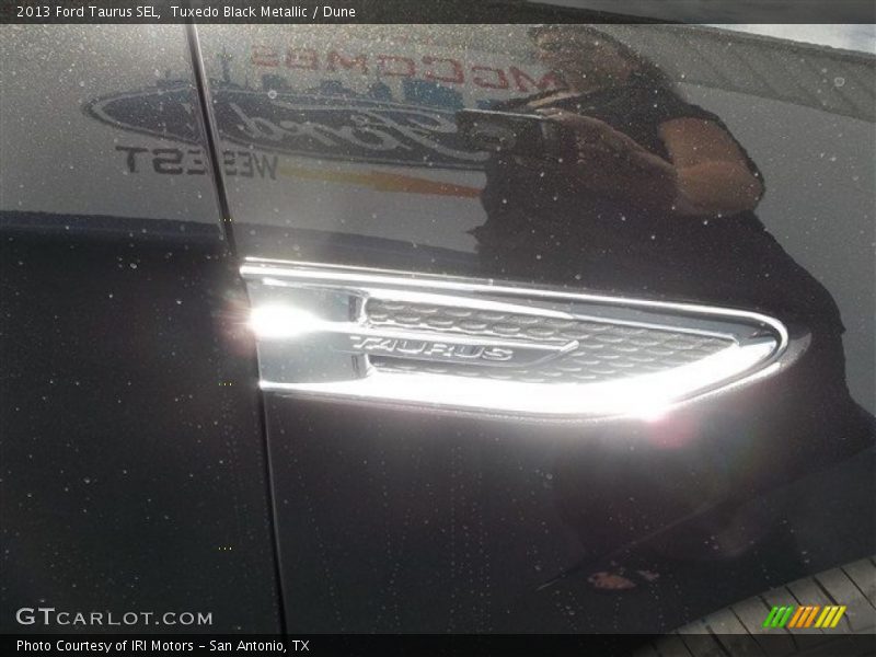 Tuxedo Black Metallic / Dune 2013 Ford Taurus SEL