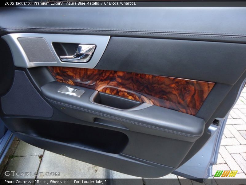 Door Panel of 2009 XF Premium Luxury