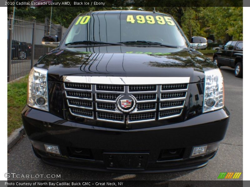 Black Ice / Ebony 2010 Cadillac Escalade Luxury AWD