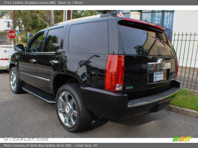 Black Ice / Ebony 2010 Cadillac Escalade Luxury AWD