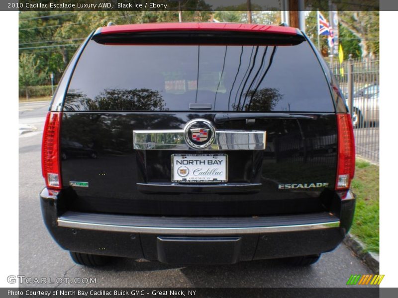 Black Ice / Ebony 2010 Cadillac Escalade Luxury AWD