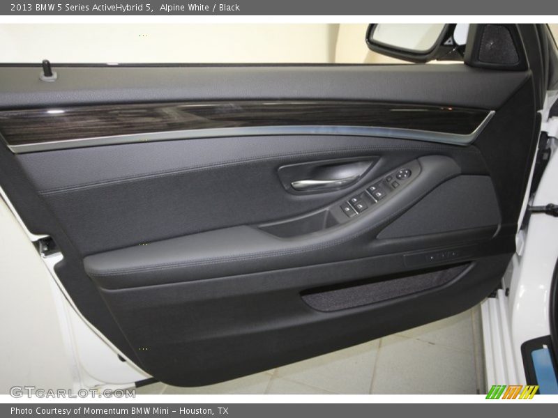 Door Panel of 2013 5 Series ActiveHybrid 5