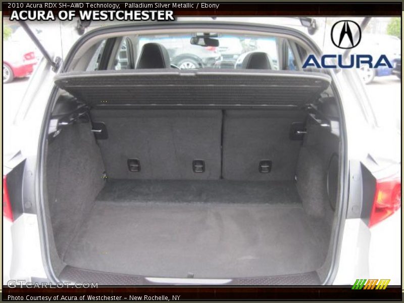 Palladium Silver Metallic / Ebony 2010 Acura RDX SH-AWD Technology