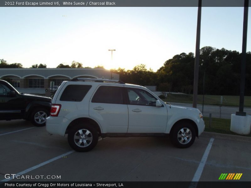 White Suede / Charcoal Black 2012 Ford Escape Limited V6