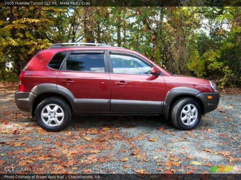 Mesa Red / Gray 2005 Hyundai Tucson GLS V6