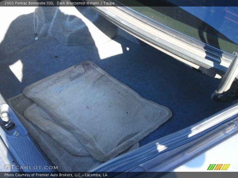 Dark Bronzemist Metallic / Taupe 2001 Pontiac Bonneville SSEi