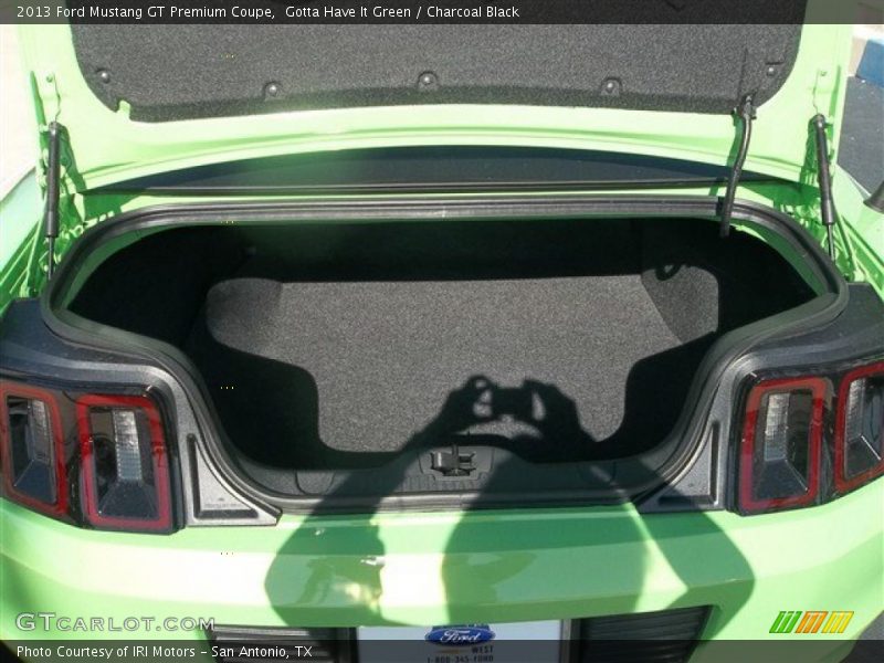 Gotta Have It Green / Charcoal Black 2013 Ford Mustang GT Premium Coupe
