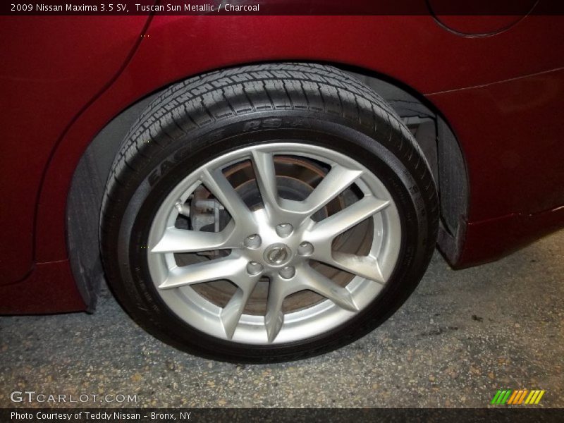 Tuscan Sun Metallic / Charcoal 2009 Nissan Maxima 3.5 SV