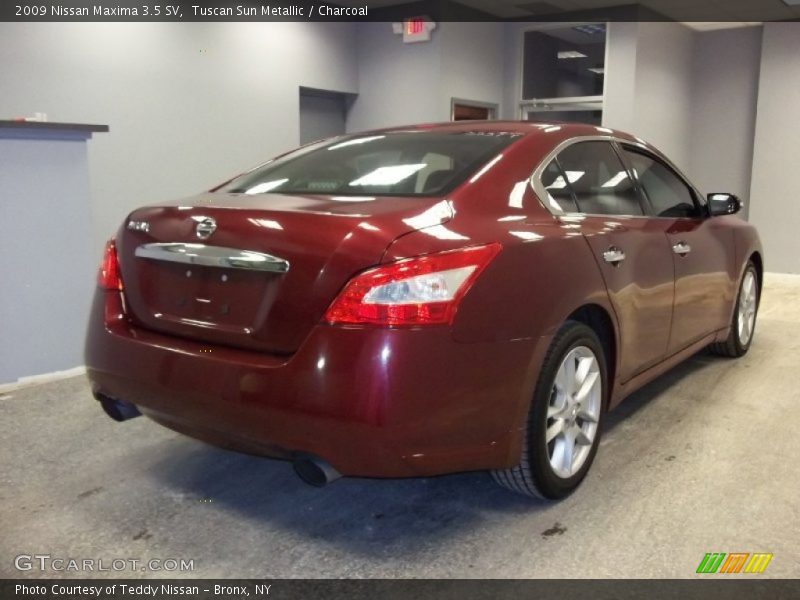 Tuscan Sun Metallic / Charcoal 2009 Nissan Maxima 3.5 SV