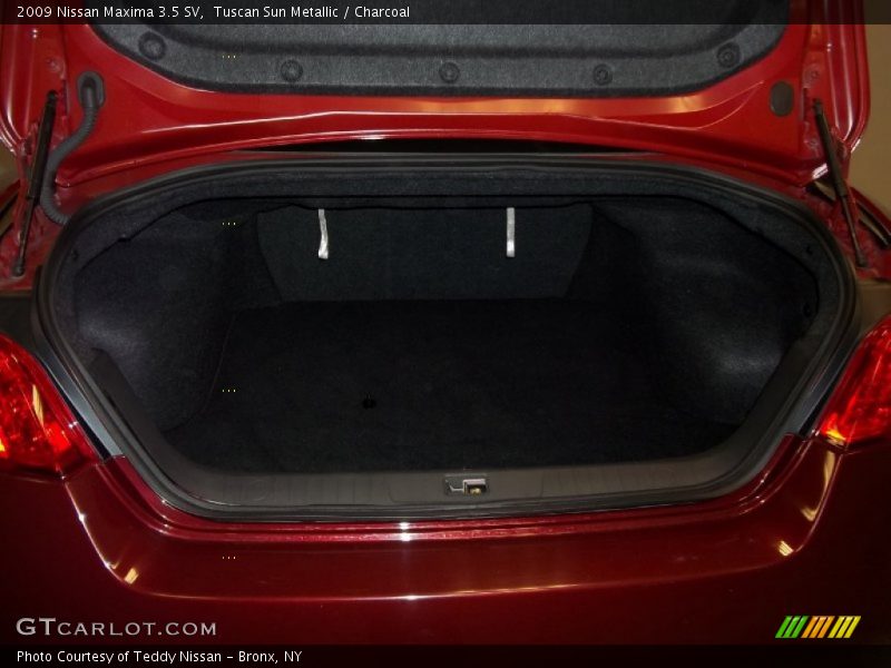 Tuscan Sun Metallic / Charcoal 2009 Nissan Maxima 3.5 SV