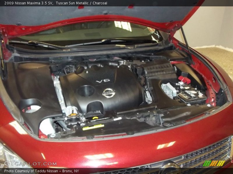 Tuscan Sun Metallic / Charcoal 2009 Nissan Maxima 3.5 SV