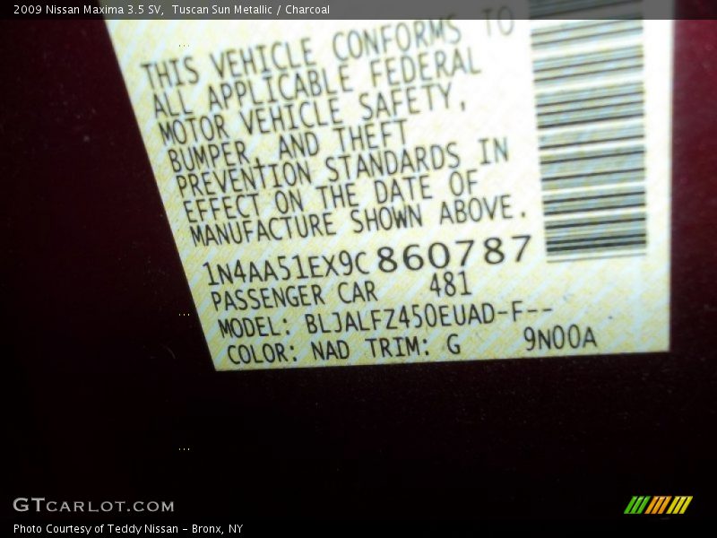 Tuscan Sun Metallic / Charcoal 2009 Nissan Maxima 3.5 SV