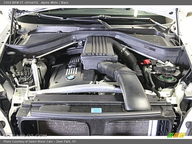 Alpine White / Black 2009 BMW X5 xDrive30i