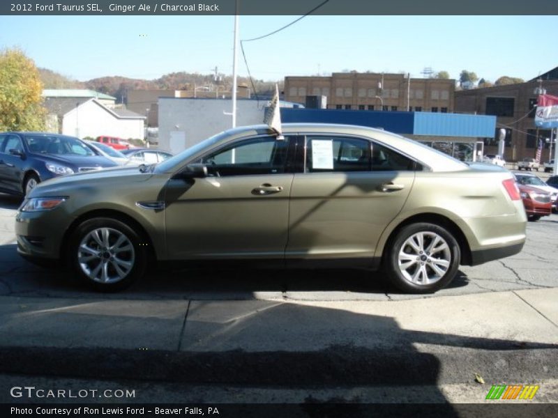 Ginger Ale / Charcoal Black 2012 Ford Taurus SEL